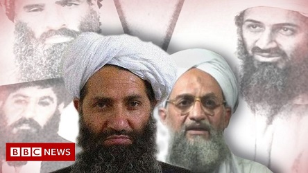 Laporan Baru PBB Sebut Taliban Dan Al-Qaidah 'Tetap Sekutu Dekat' 